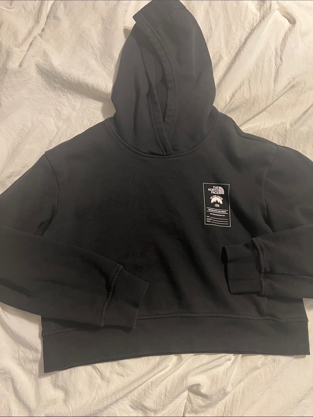 The North Face Black Cropped Hooded Sweatshirt with Chest Patch